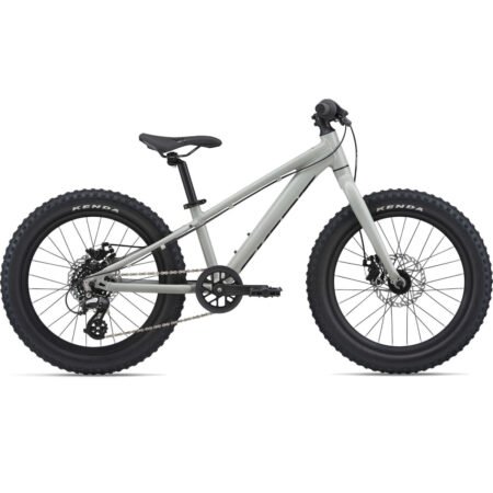 Giant STP 20 Kids Mountainbike - 2023 - concrete